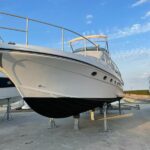 WhatsApp Image 2023-01-10 at 06.59.59 (22)