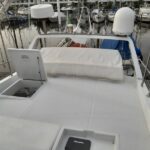 WhatsApp Image 2023-02-11 at 13.12.51